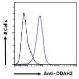 Flow Cytometry - Anti-DDAH2 Antibody (A83805) - Antibodies.com