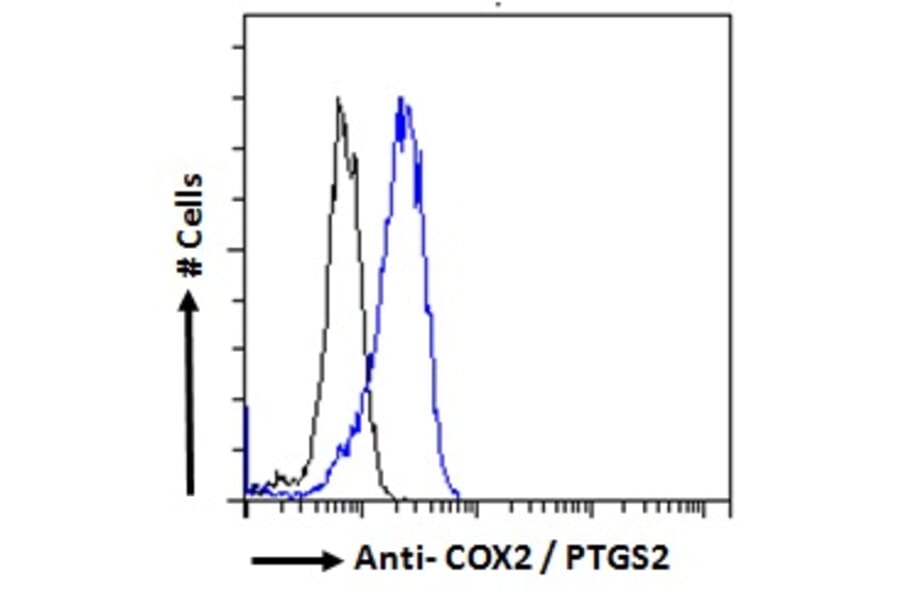 Flow Cytometry - Anti-COX2/Cyclooxygenase 2 Antibody (A83806) - Antibodies.com