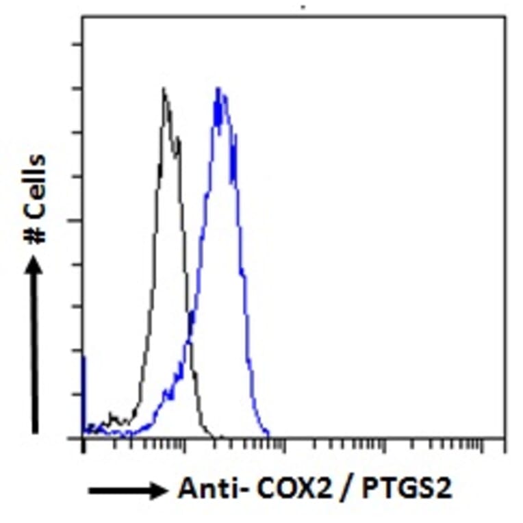 Flow Cytometry - Anti-COX2/Cyclooxygenase 2 Antibody (A83806) - Antibodies.com