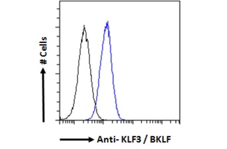 Flow Cytometry - Anti-KLF3 Antibody (A83826) - Antibodies.com