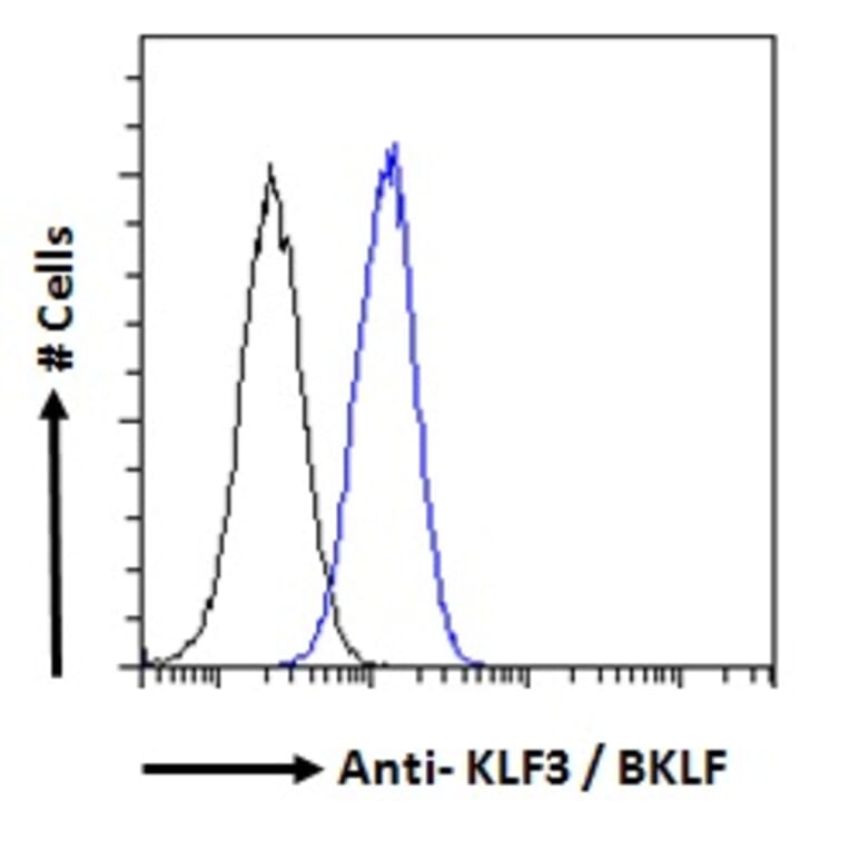 Flow Cytometry - Anti-KLF3 Antibody (A83826) - Antibodies.com