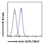 Flow Cytometry - Anti-KLF3 Antibody (A83826) - Antibodies.com