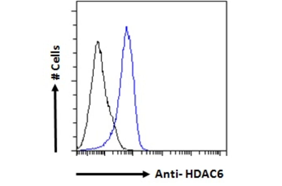 Flow Cytometry - Anti-HDAC6 Antibody (A83838) - Antibodies.com