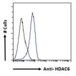 Flow Cytometry - Anti-HDAC6 Antibody (A83838) - Antibodies.com