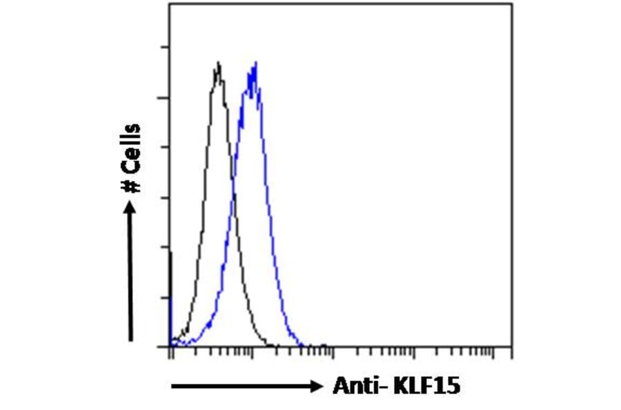 Flow Cytometry - Anti-KLF15 Antibody (A83845) - Antibodies.com