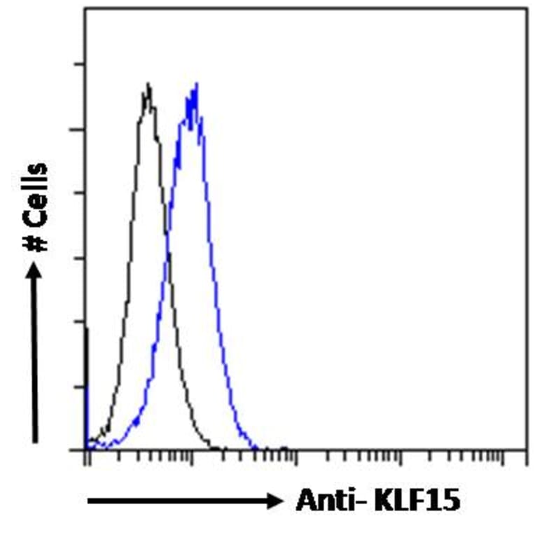 Flow Cytometry - Anti-KLF15 Antibody (A83845) - Antibodies.com