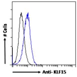 Flow Cytometry - Anti-KLF15 Antibody (A83845) - Antibodies.com