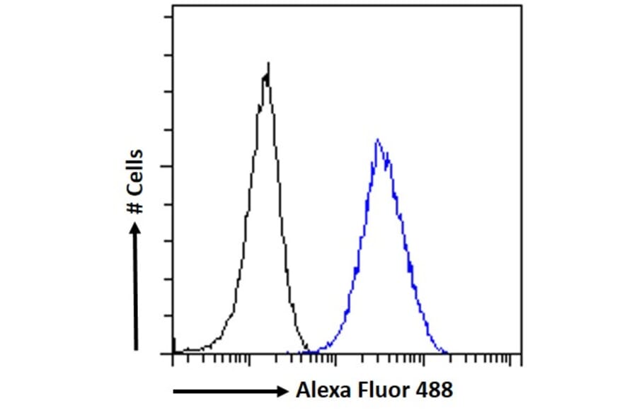 Flow Cytometry - Anti-ARL2 Antibody (A83862) - Antibodies.com