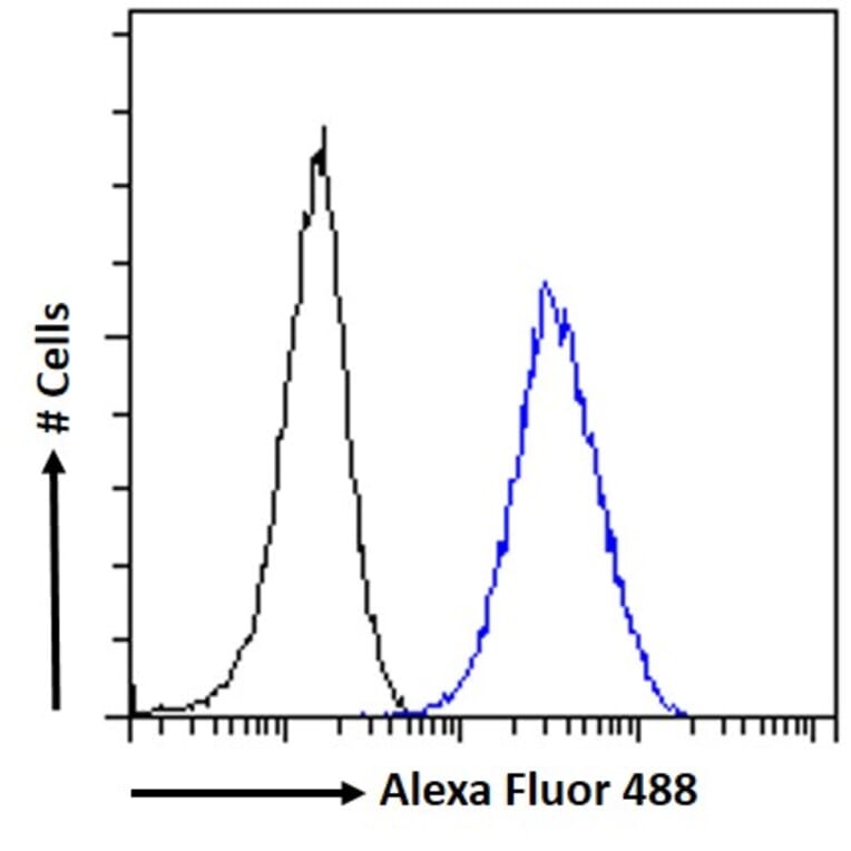 Flow Cytometry - Anti-ARL2 Antibody (A83862) - Antibodies.com