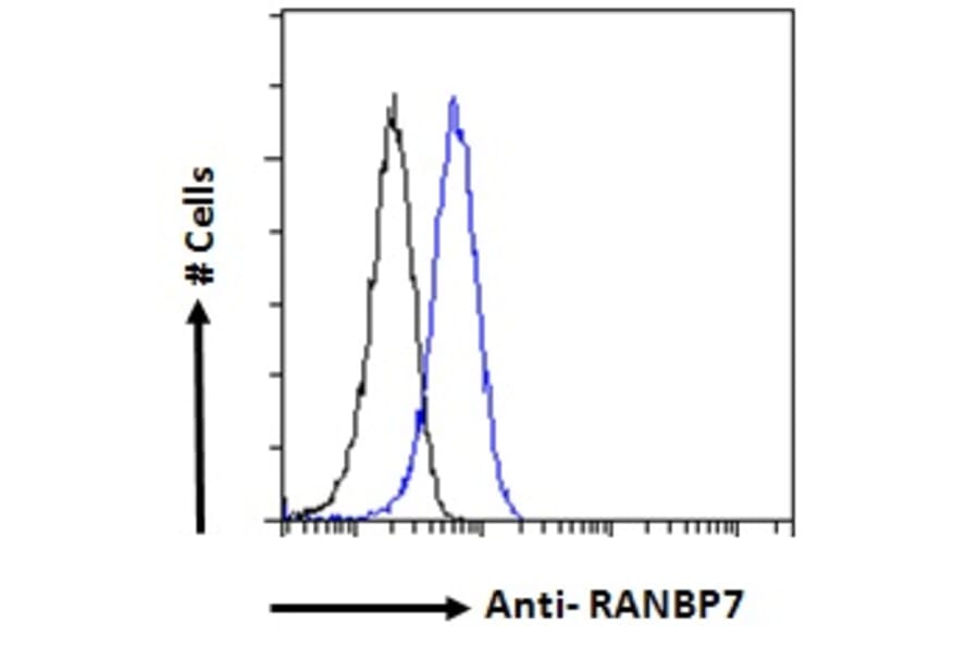 Flow Cytometry - Anti-IPO7 Antibody (A83863)