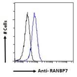 Flow Cytometry - Anti-IPO7 Antibody (A83863)