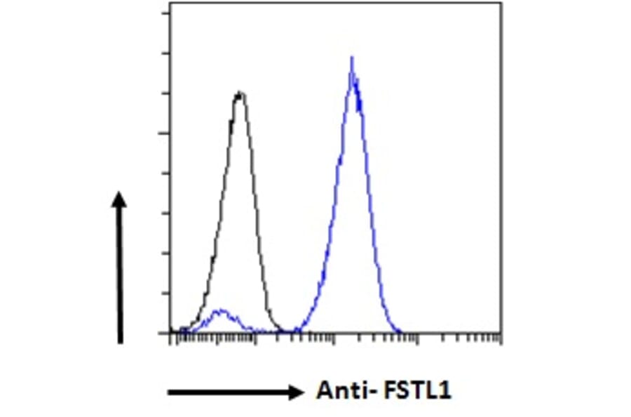 Flow Cytometry - Anti-FSTL1/FRP Antibody (A83869) - Antibodies.com