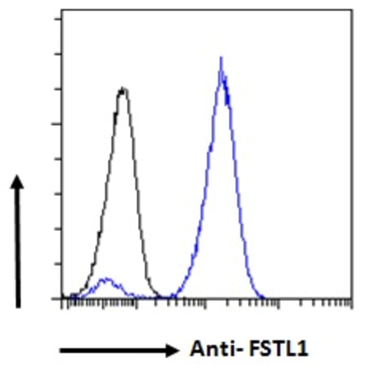 Flow Cytometry - Anti-FSTL1/FRP Antibody (A83869) - Antibodies.com