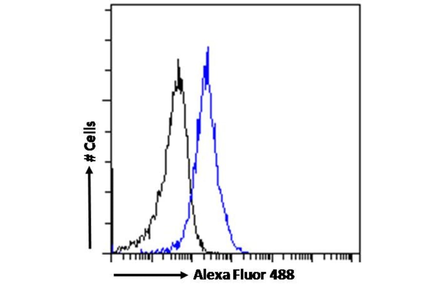 Flow Cytometry - Anti-JWA Antibody (A83878) - Antibodies.com