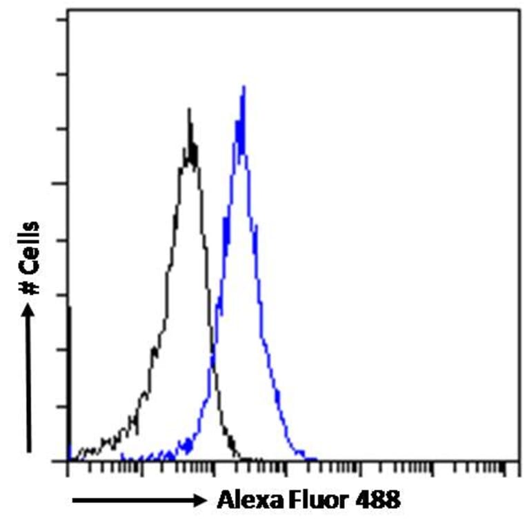 Flow Cytometry - Anti-JWA Antibody (A83878) - Antibodies.com