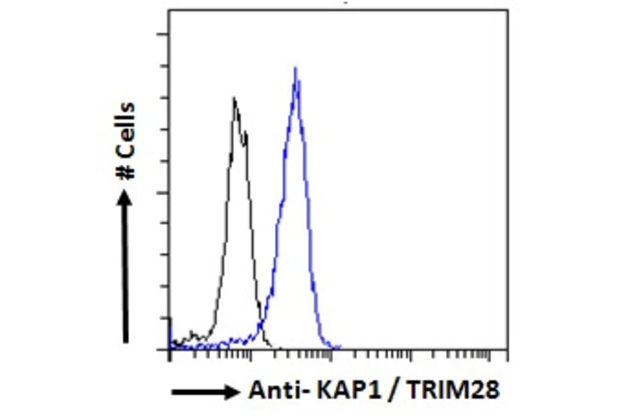 Flow Cytometry - Anti-KAP1 Antibody (A83901) - Antibodies.com