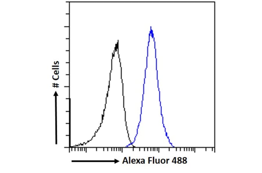 Flow Cytometry - Anti-TRIM8 Antibody (A83907) - Antibodies.com