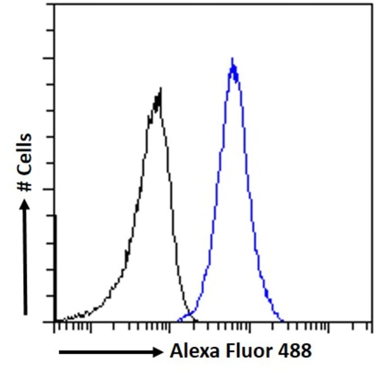 Flow Cytometry - Anti-TRIM8 Antibody (A83907) - Antibodies.com