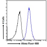 Flow Cytometry - Anti-TRIM8 Antibody (A83907) - Antibodies.com