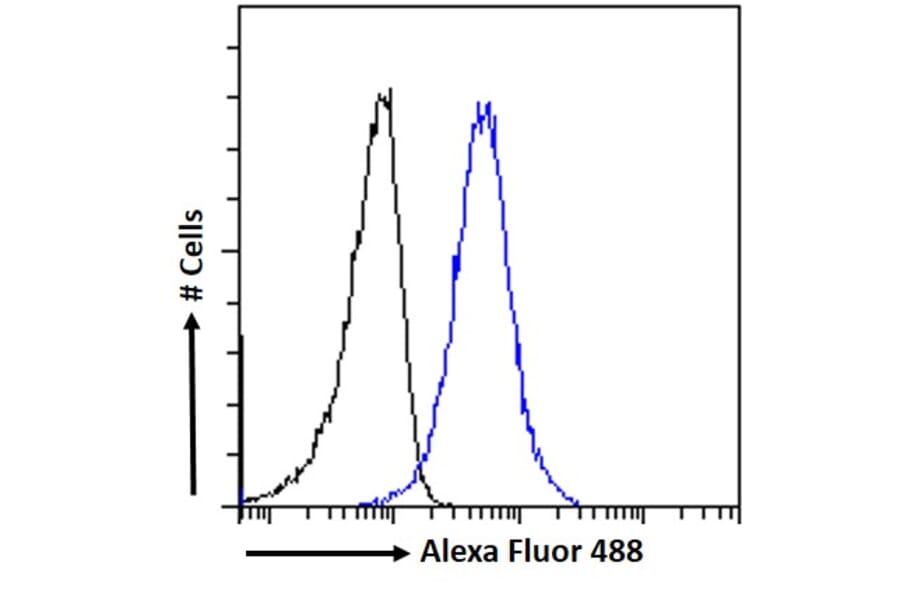 Flow Cytometry - Anti-SNX18 Antibody (A83917) - Antibodies.com