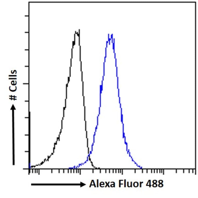 Flow Cytometry - Anti-SNX18 Antibody (A83917) - Antibodies.com