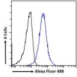 Flow Cytometry - Anti-SNX18 Antibody (A83917) - Antibodies.com