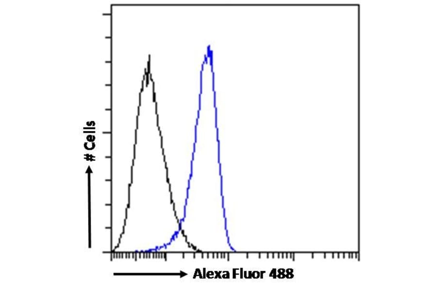 Flow Cytometry - Anti-MDA5 Antibody (A83931) - Antibodies.com