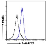 Flow Cytometry - Anti-ECT2 Antibody (A83937) - Antibodies.com