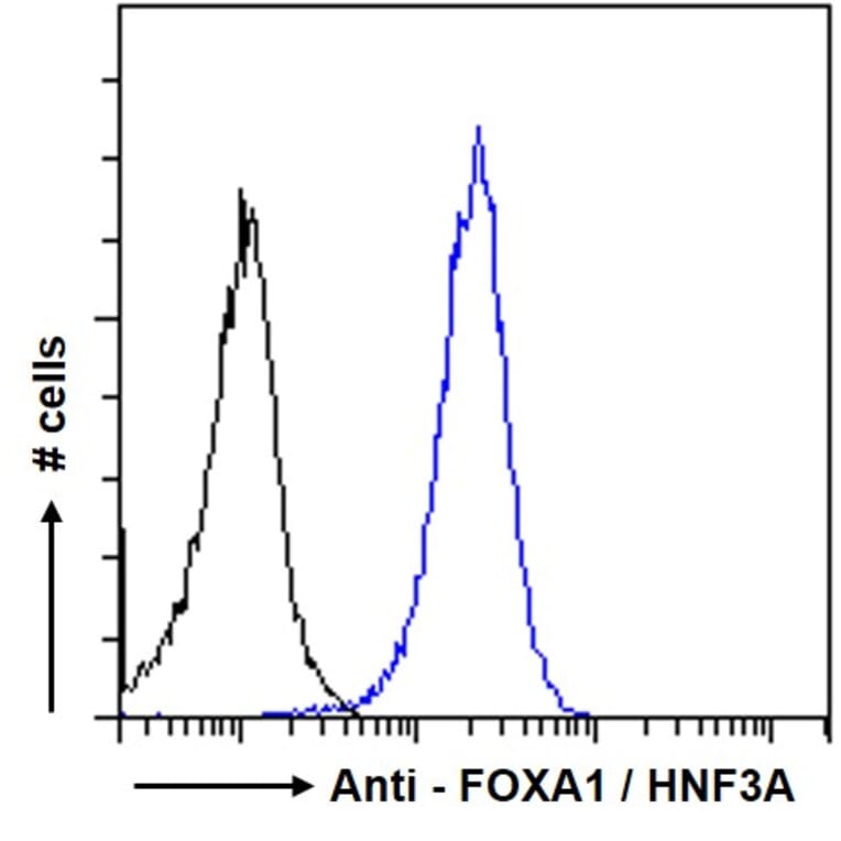 Flow Cytometry - Anti-FOXA1 Antibody (A83938) - Antibodies.com