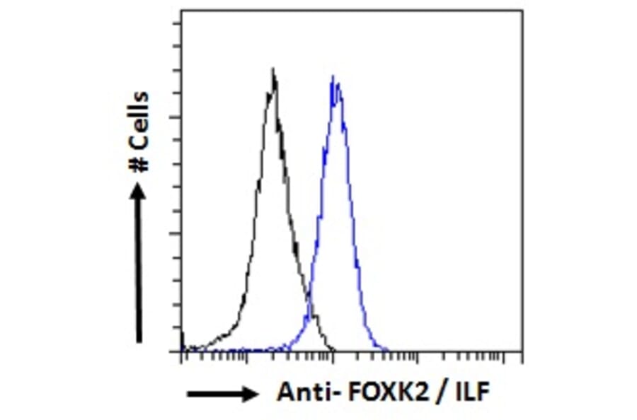 Flow Cytometry - Anti-ILF1 Antibody (A83948) - Antibodies.com