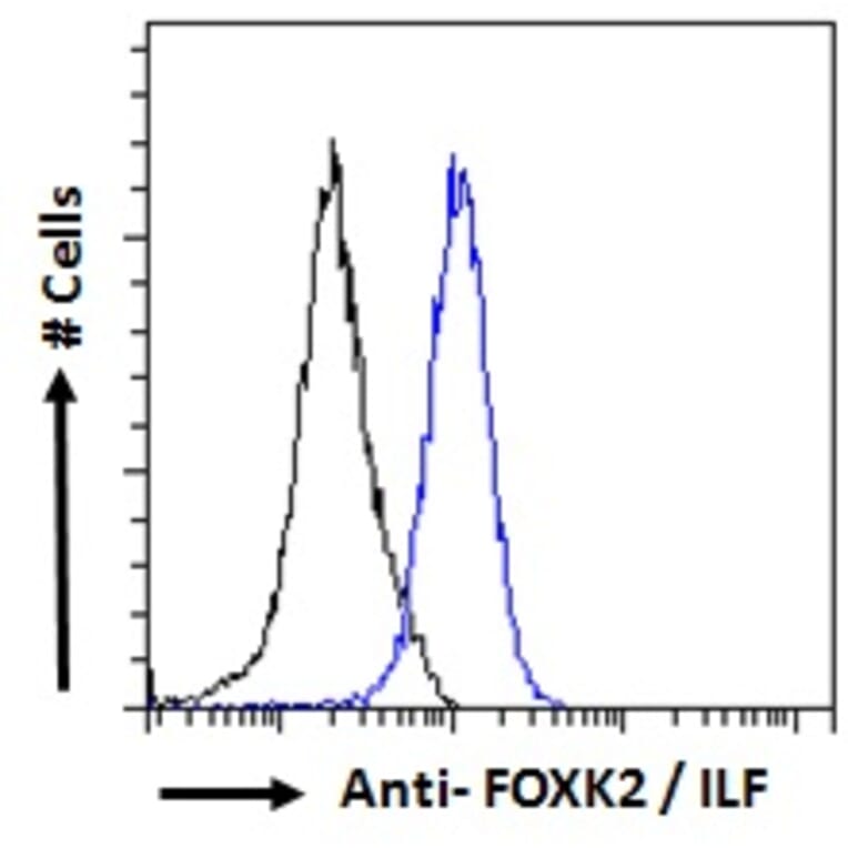 Flow Cytometry - Anti-ILF1 Antibody (A83948) - Antibodies.com