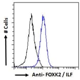 Flow Cytometry - Anti-ILF1 Antibody (A83948) - Antibodies.com