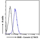 Flow Cytometry - Anti-Coronin 1a/TACO Antibody (A83954) - Antibodies.com