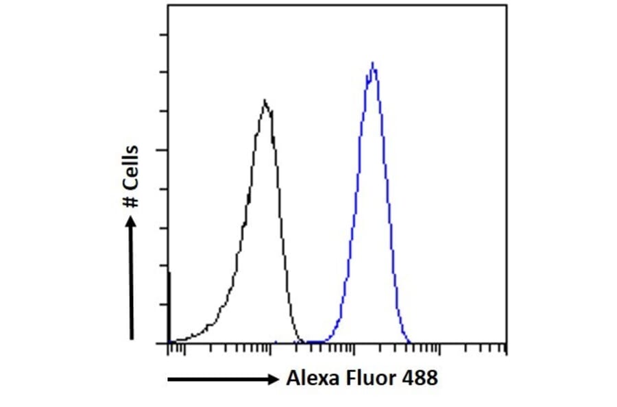 Flow Cytometry - Anti-Renin Receptor Antibody (A83969) - Antibodies.com