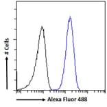 Flow Cytometry - Anti-Renin Receptor Antibody (A83969) - Antibodies.com