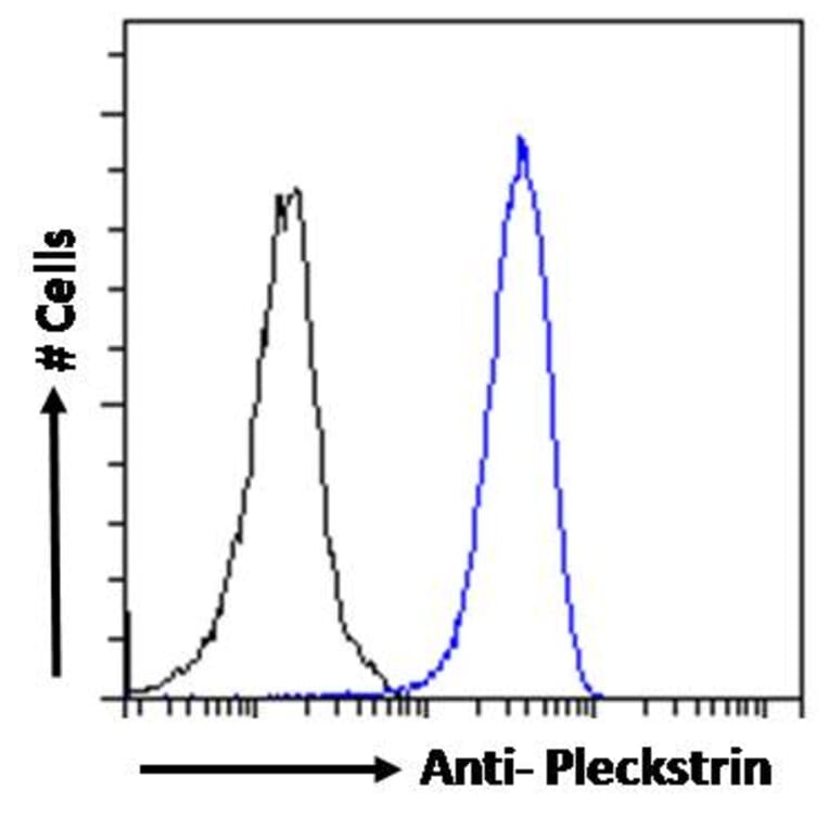 Flow Cytometry - Anti-Pleckstrin Antibody (A83983) - Antibodies.com