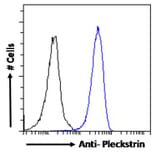 Flow Cytometry - Anti-Pleckstrin Antibody (A83983) - Antibodies.com