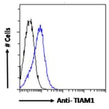 Flow Cytometry - Anti-TIAM1 Antibody (A83986) - Antibodies.com