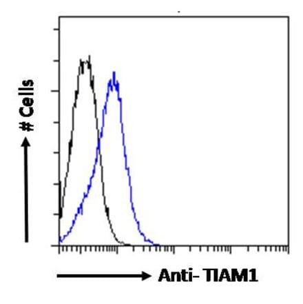 Flow Cytometry - Anti-TIAM1 Antibody (A83986) - Antibodies.com