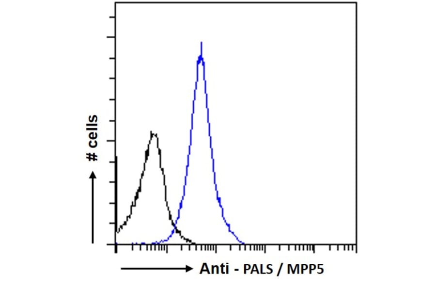 Flow Cytometry - Anti-MPP5/Pals1 Antibody (A83993) - Antibodies.com