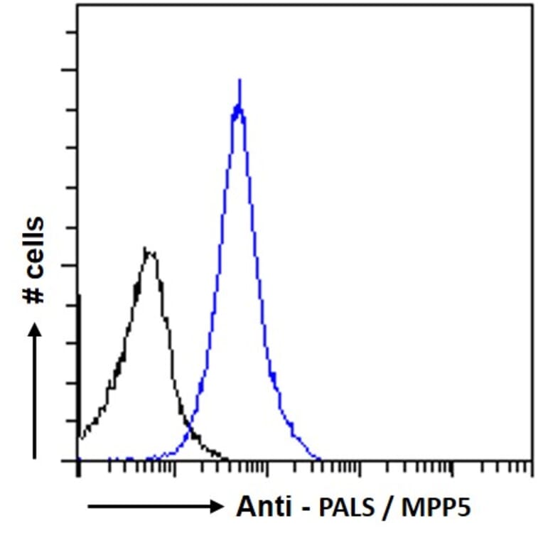 Flow Cytometry - Anti-MPP5/Pals1 Antibody (A83993) - Antibodies.com