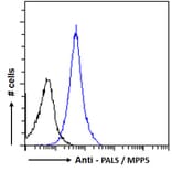 Flow Cytometry - Anti-MPP5/Pals1 Antibody (A83993) - Antibodies.com