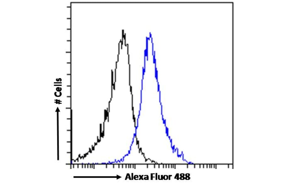 Flow Cytometry - Anti-Dispatched Antibody (A84010) - Antibodies.com