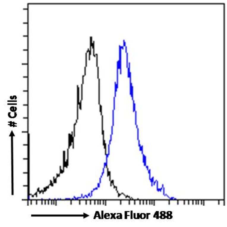 Flow Cytometry - Anti-Dispatched Antibody (A84010) - Antibodies.com