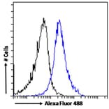 Flow Cytometry - Anti-Dispatched Antibody (A84010) - Antibodies.com