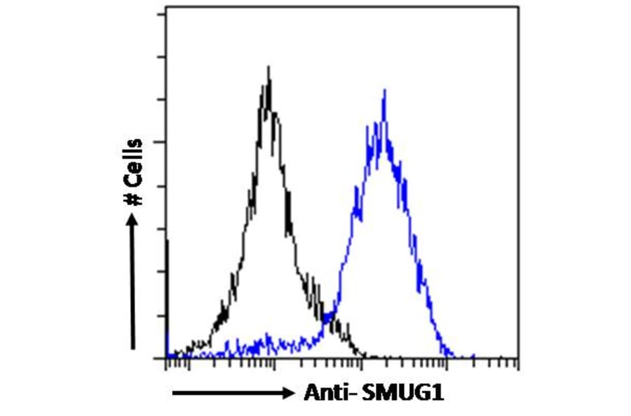 Flow Cytometry - Anti-SMUG1 Antibody (A84016) - Antibodies.com