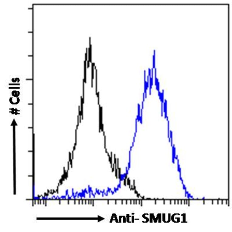 Flow Cytometry - Anti-SMUG1 Antibody (A84016) - Antibodies.com