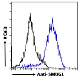 Flow Cytometry - Anti-SMUG1 Antibody (A84016) - Antibodies.com