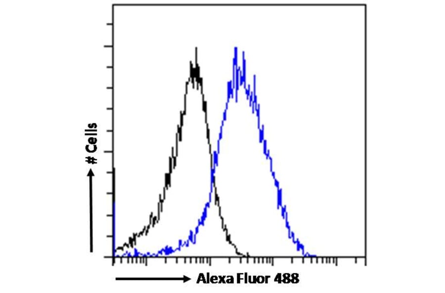 Flow Cytometry - Anti-FLAP Antibody (A84031) - Antibodies.com