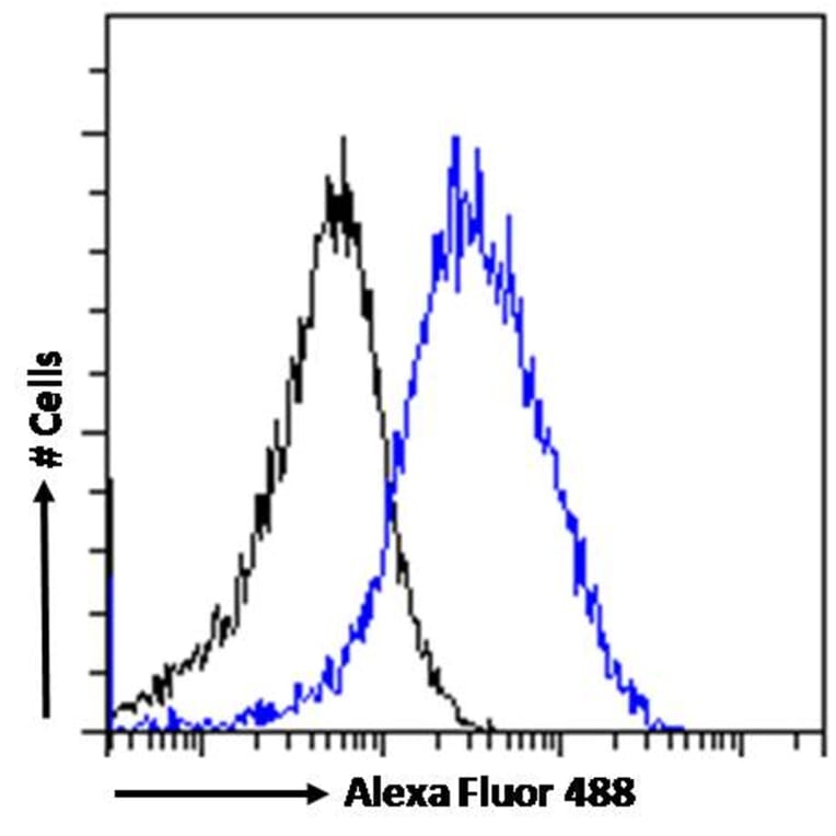 Flow Cytometry - Anti-FLAP Antibody (A84031) - Antibodies.com